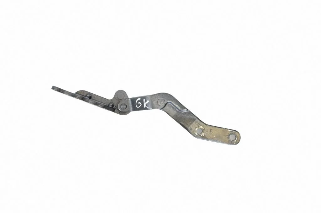 Rear door lower hinge – left