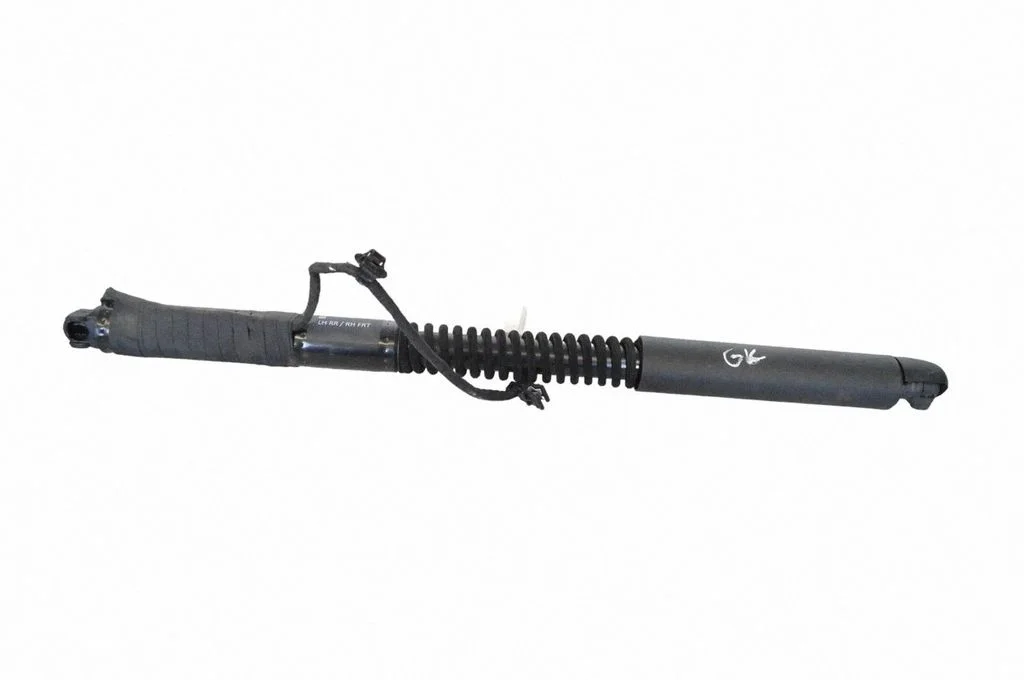 Rear door lower hinge 106344000D