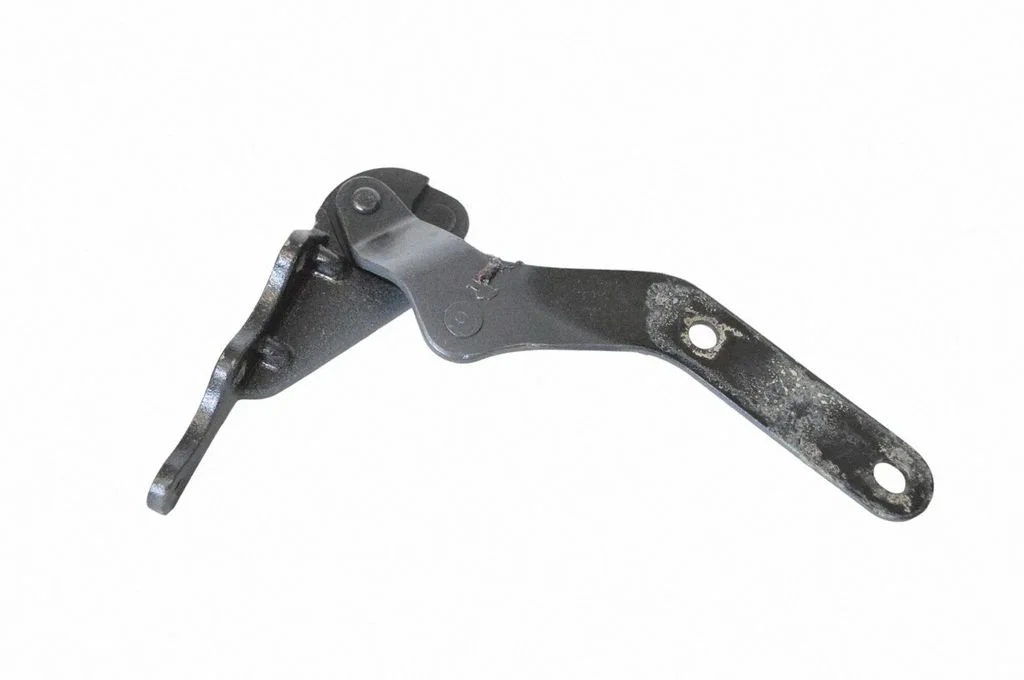 Rear door lower hinge – left