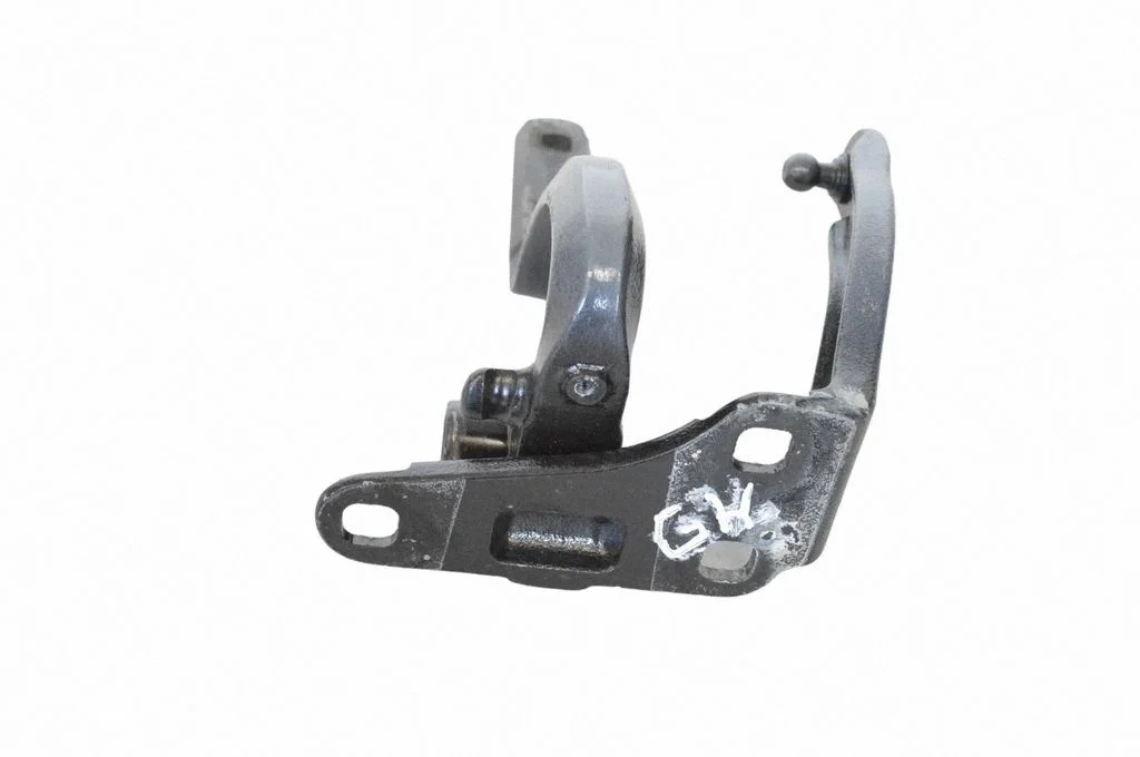 Rear door lower hinge – left