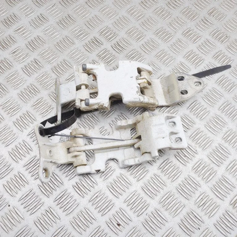 Rear door hinge set 1623816080
