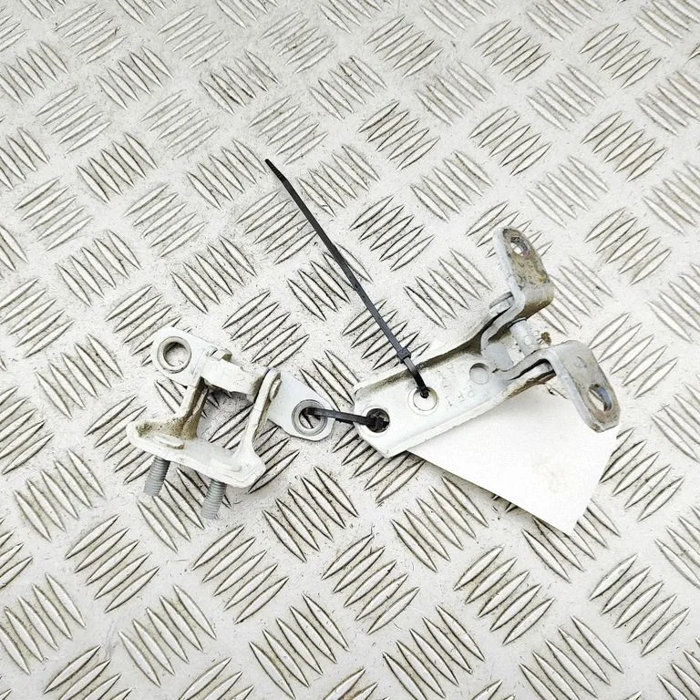 Tagaukse hingede komplekt 5702A161