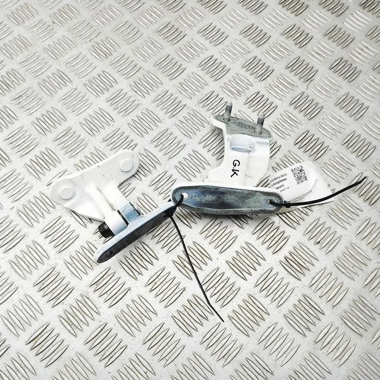 Tagaukse hingede komplekt A1677303310