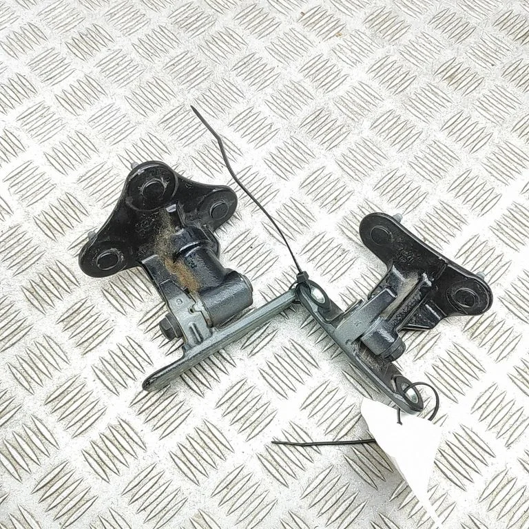 Tagaukse hingede komplekt A1667300237