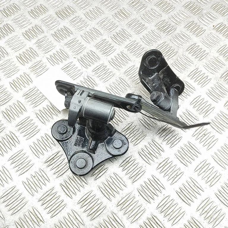 Tagaukse hingede komplekt A1667300337