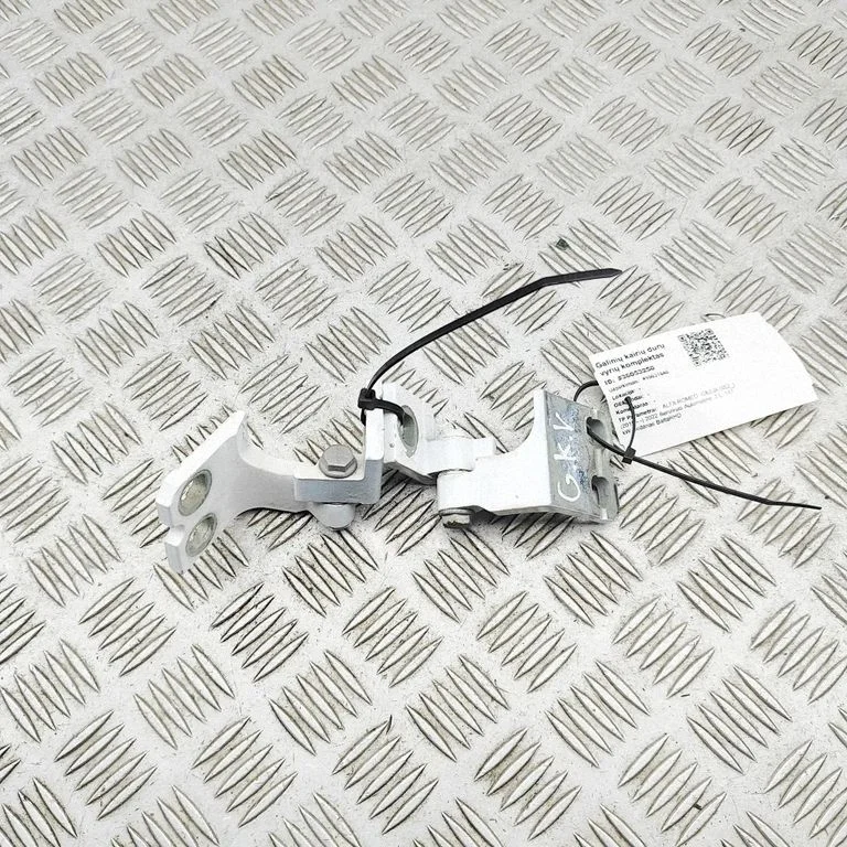 Aizmugurējo eņģu komplekts 50536519