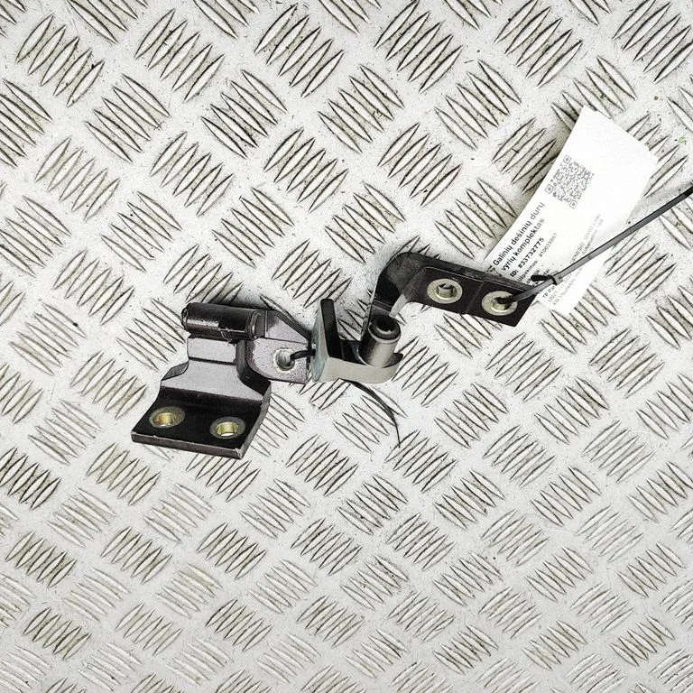 Tagaukse hingede komplekt 77925T4000