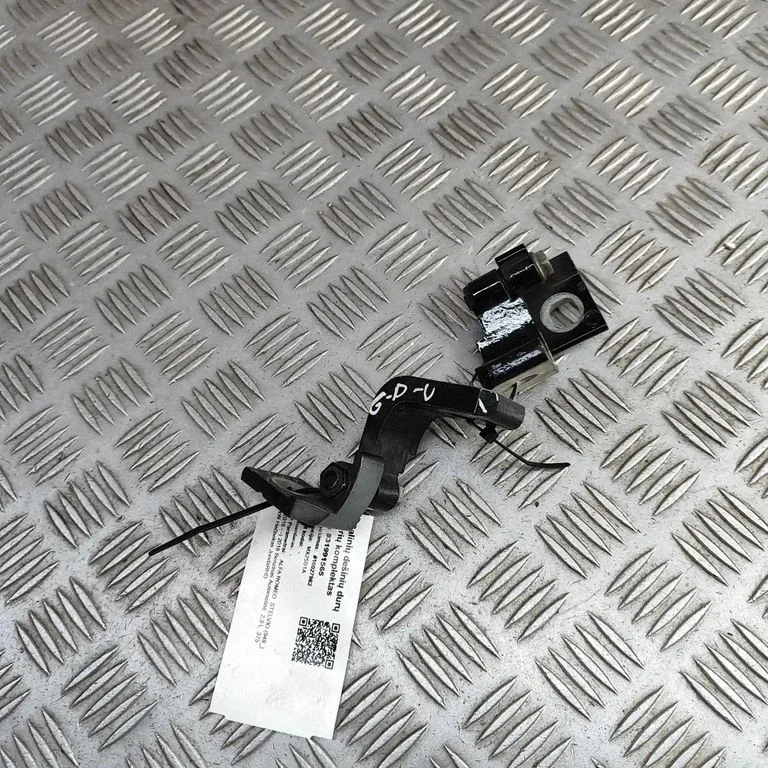 Aizmugurējo eņģu komplekts 50541317