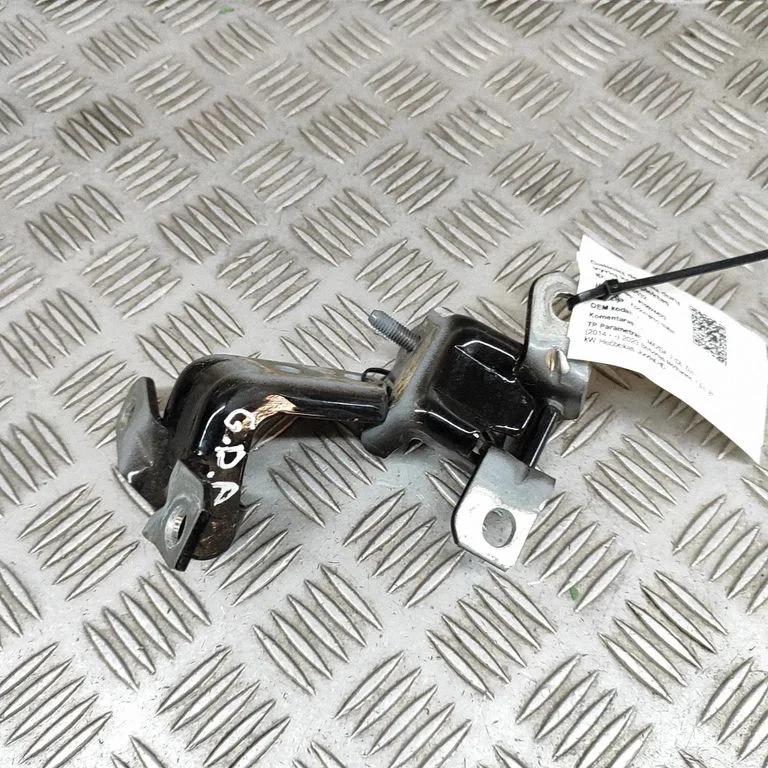Rear door hinge set D09L72240