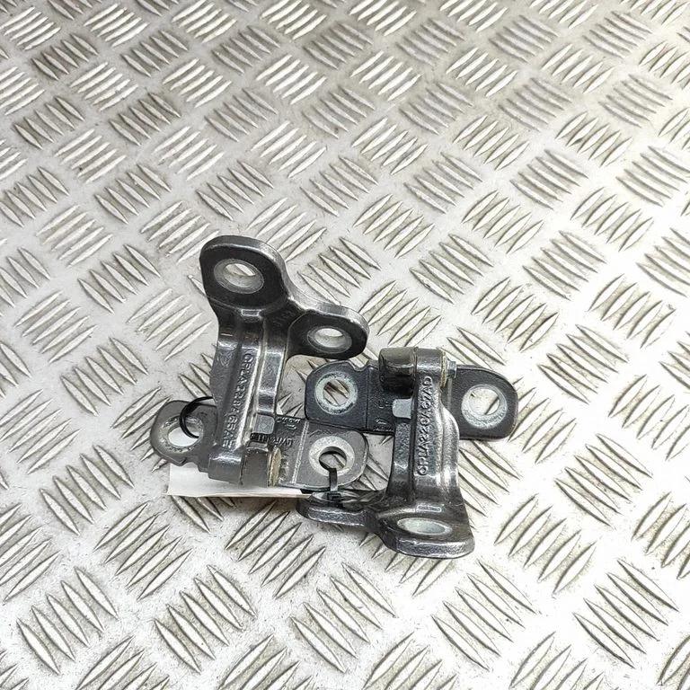 Rear door hinge set CPLA228A67AD
