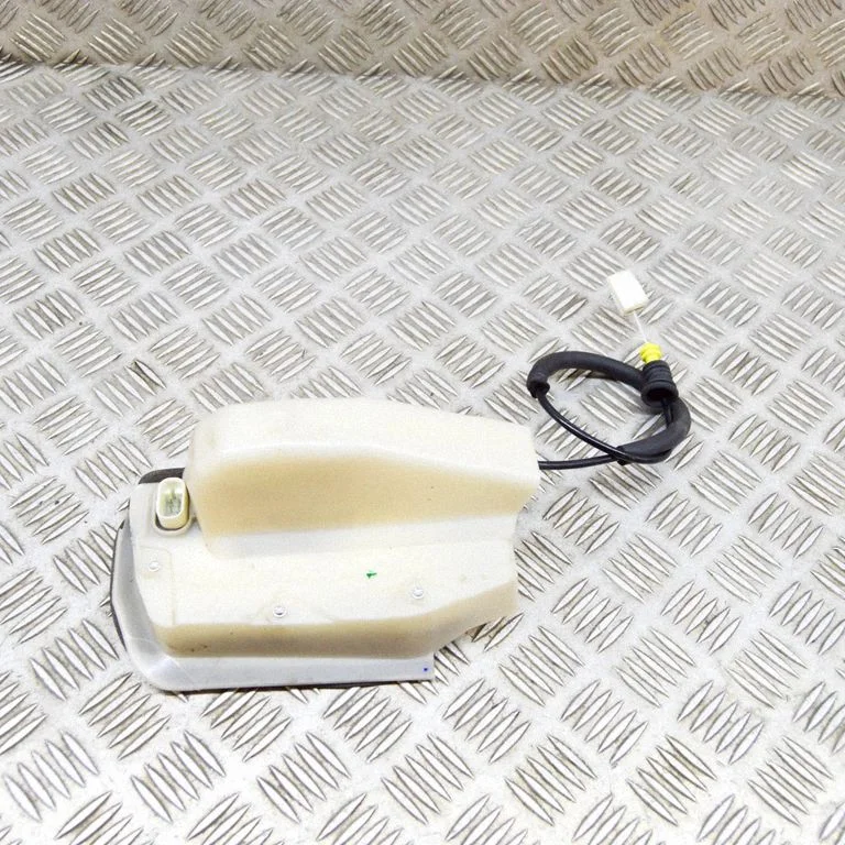 Rear door lock 106896900M