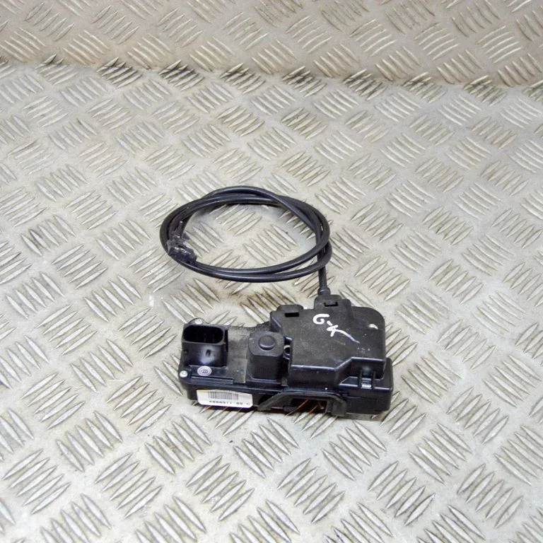 Rear door lock 600891100C