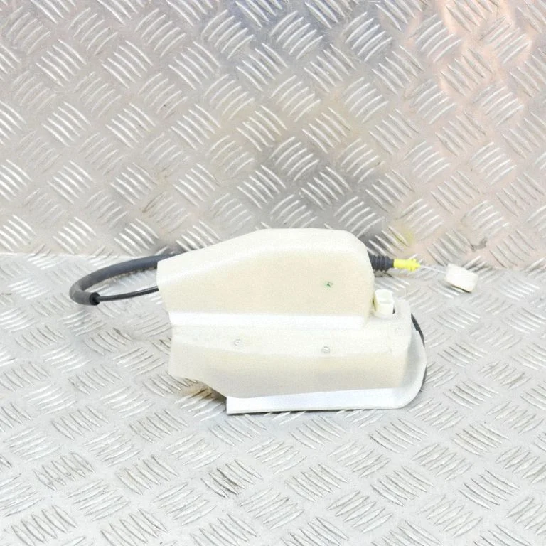Rear door lock 106897000M