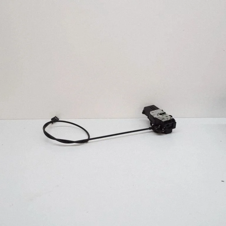 Rear door lock 600891100D