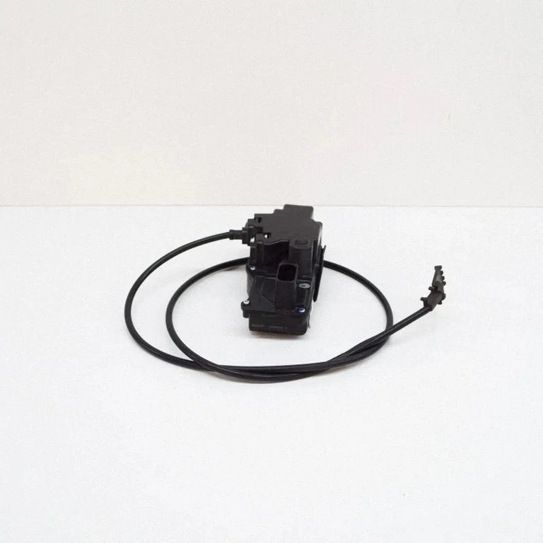 Rear door lock 600891100D