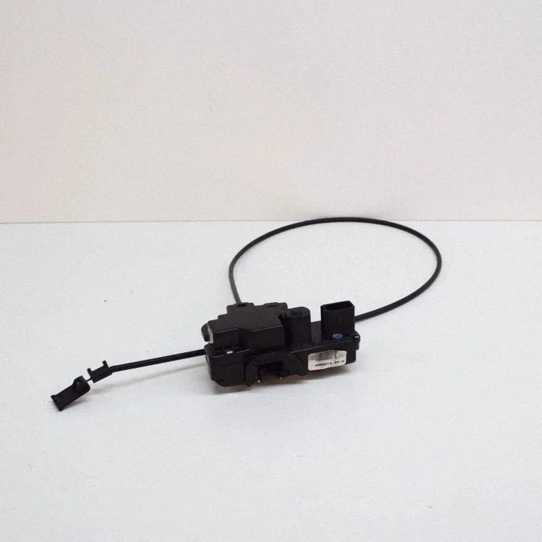 Rear door lock 600891400D