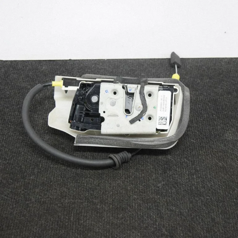 Rear door lock 106896900F
