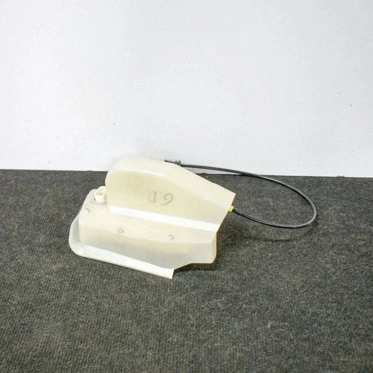 Rear door lock 106896900L