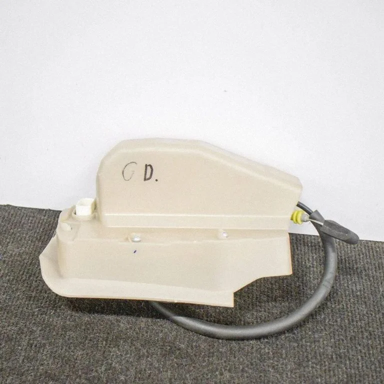 Rear door lock 106896999E