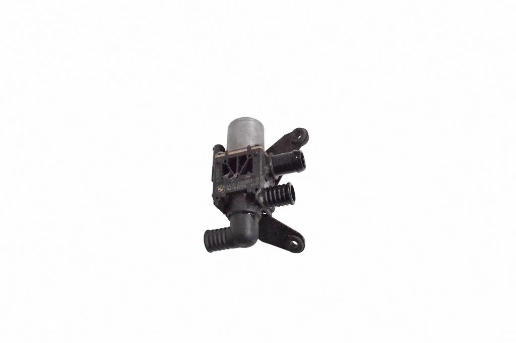 Electric auxiliary coolant/water pump – BMW X6 E71 (2008-2014)