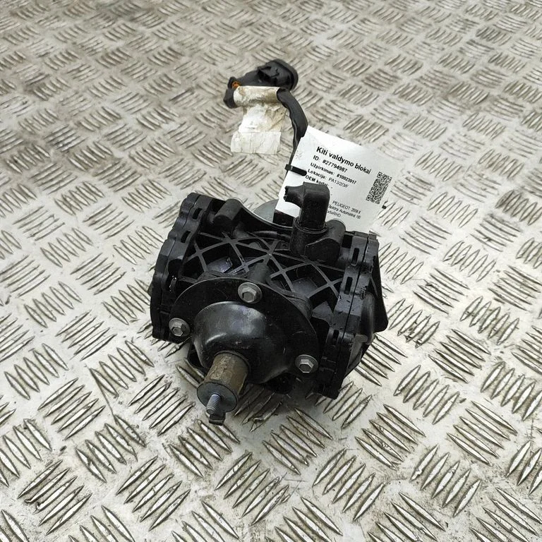 Vacuum pump – Peugeot 2008 II (2019-)