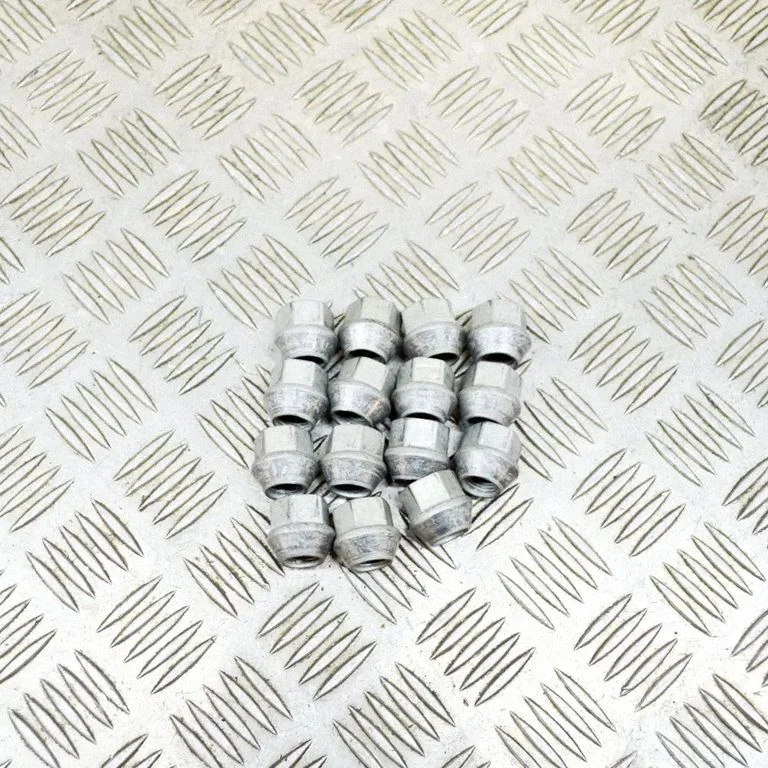 Nuts/bolts