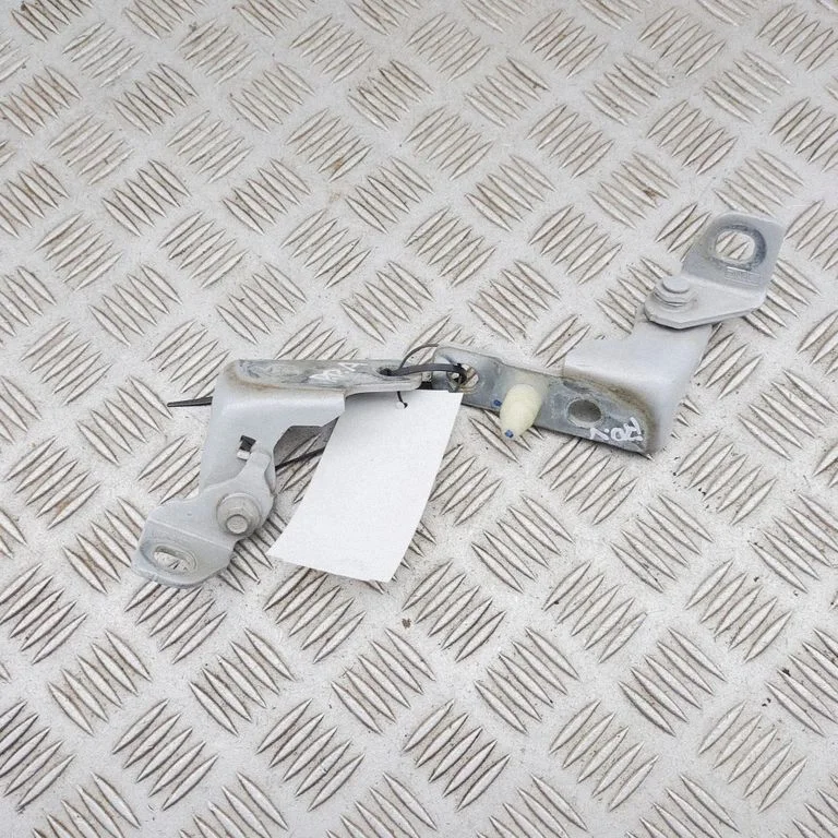 Front door hinges set JX7BA22810BA
