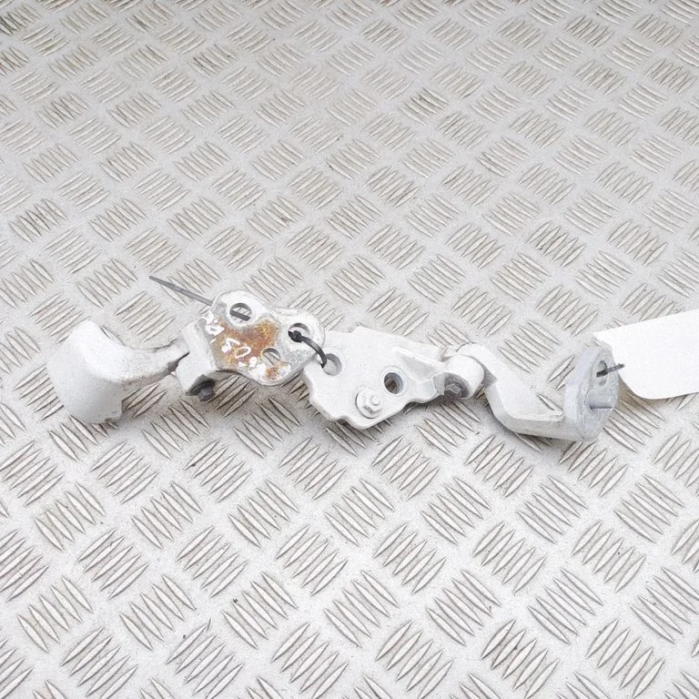 Front door hinges set BK31V22801AH