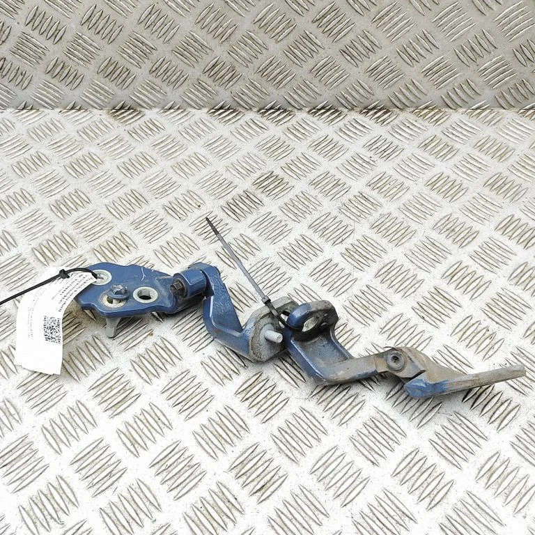 Front door hinges set BK31V22811AF