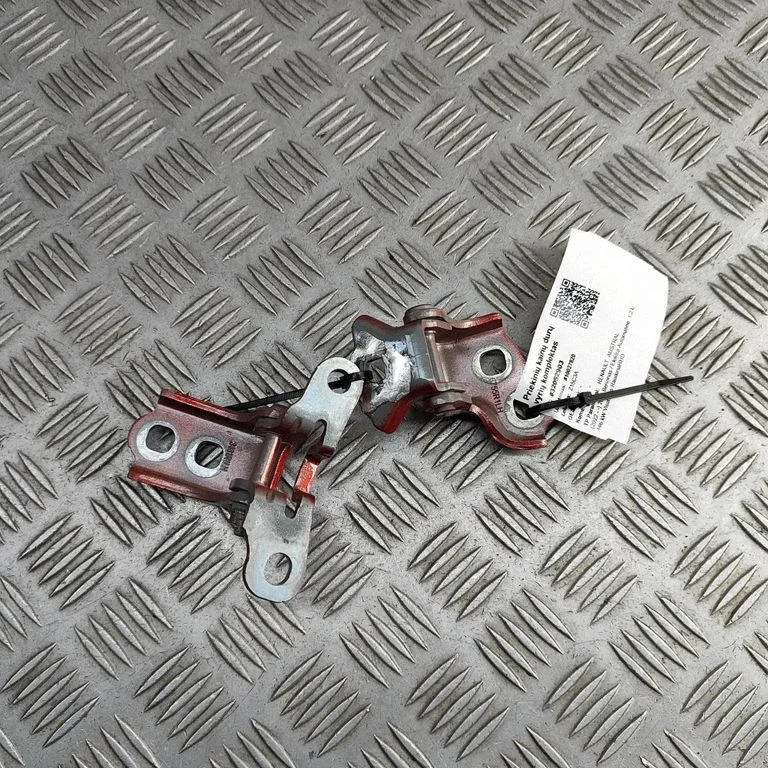 Front door hinges set 804018984R