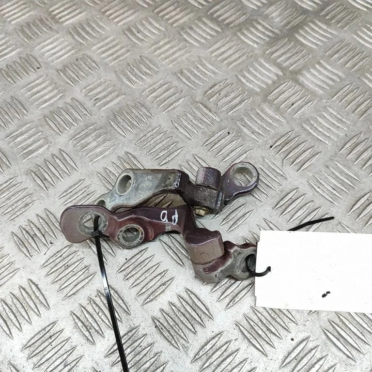 Front door hinges set 3M51R22800BC