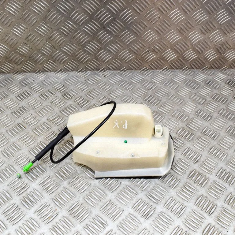 Coupe door lock (next to the handle) 106896400L