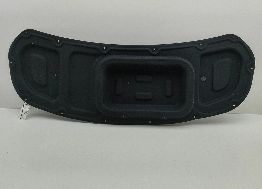Sāna apdare (aizmugurējā) 81124EV000