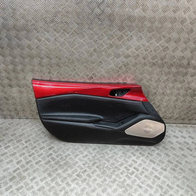 Front door card panel trim N2434581A