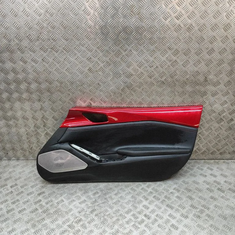 Front door card panel trim N2434281A