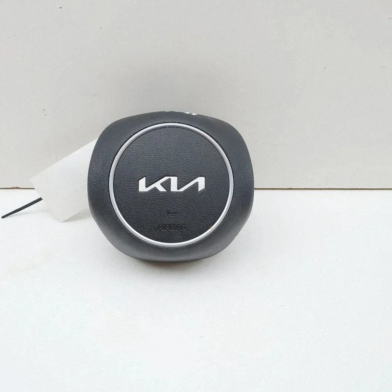 Steering wheel airbag 80100P1000WK