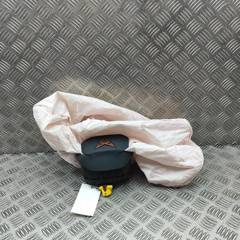 Poduszka powietrzna kierownicy 10E880201L
