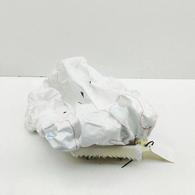 Poduszka powietrzna pasażera 647543600