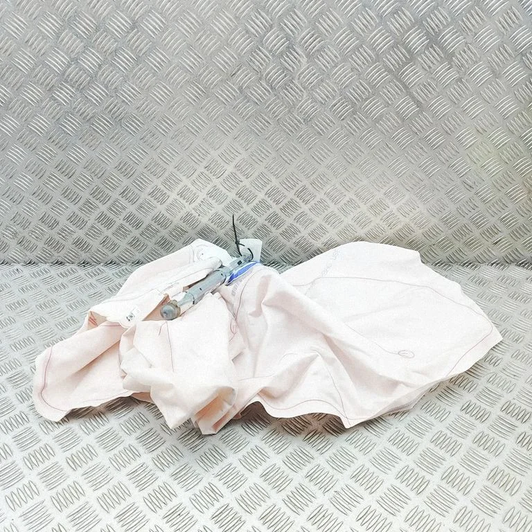 Roof airbag 95C880741G