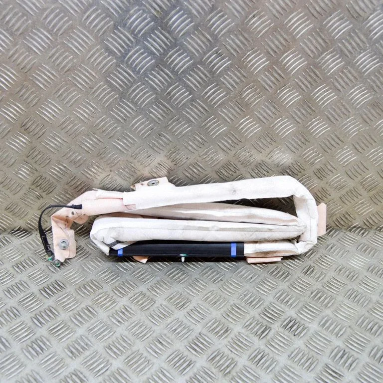 Roof airbag 100526100C