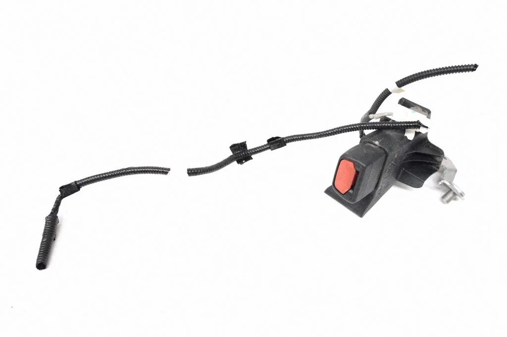 Tagumise turvavöö pannal – Toyota RAV 4 (XA50) (2018-)