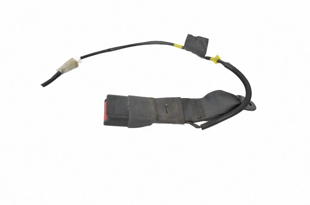 Tagumise turvavöö pannal 1050327