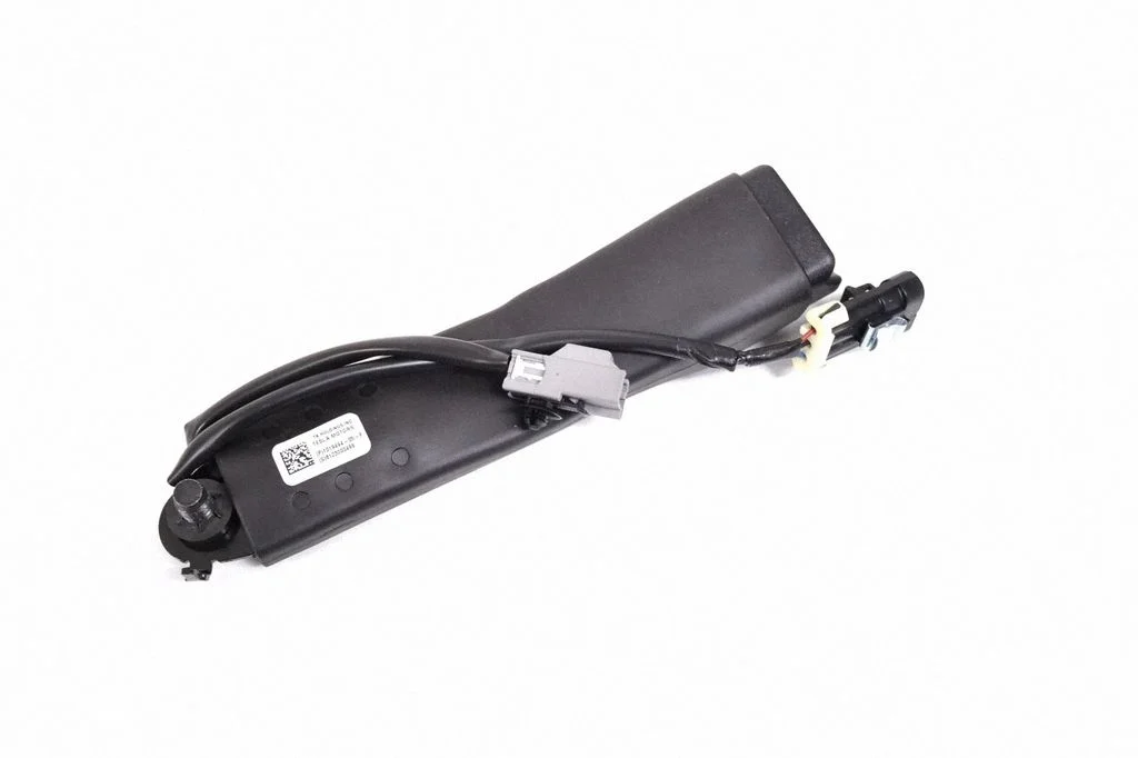 Tagumise turvavöö pannal – Tesla Model S (2012-)
