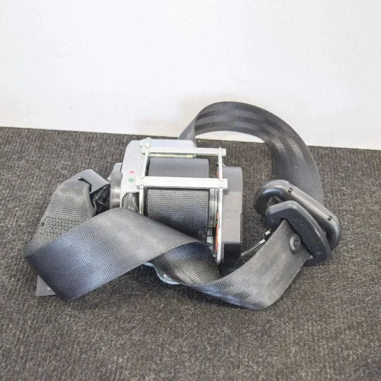 Aizmugurējā drošības josta 39818859