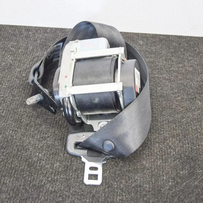 Aizmugurējā drošības josta 39818868