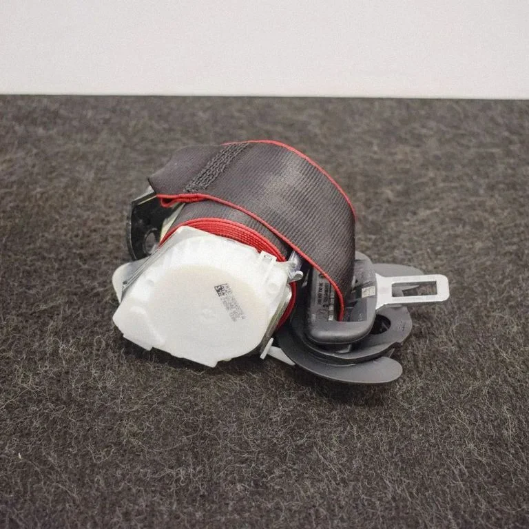 Pas bezpieczeństwa tylny 34066878A