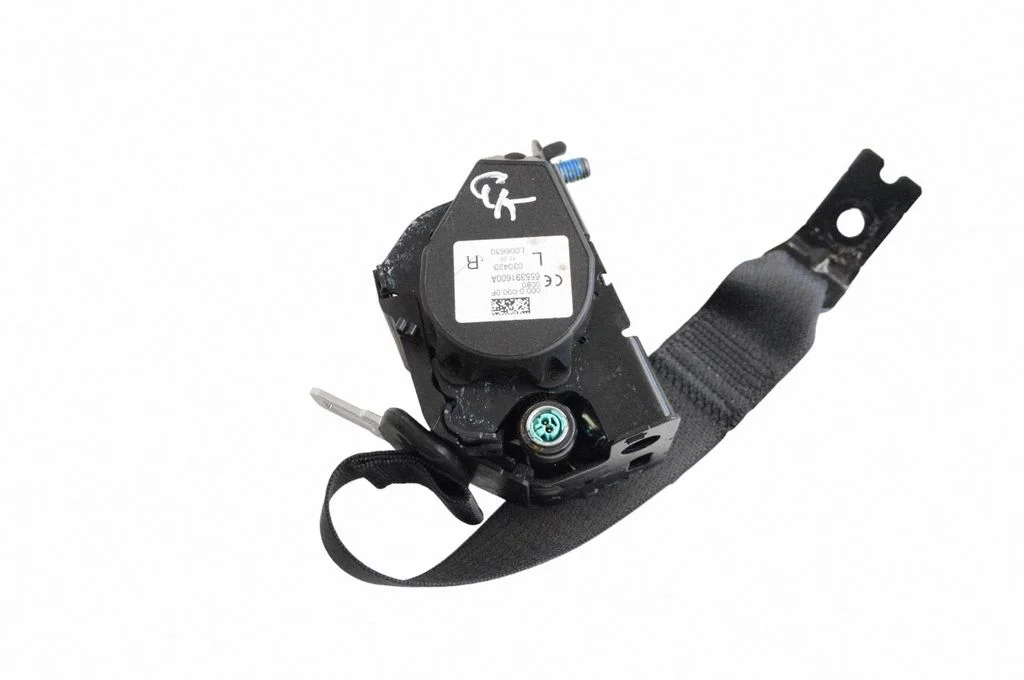 Rear seatbelt 1616501C1A