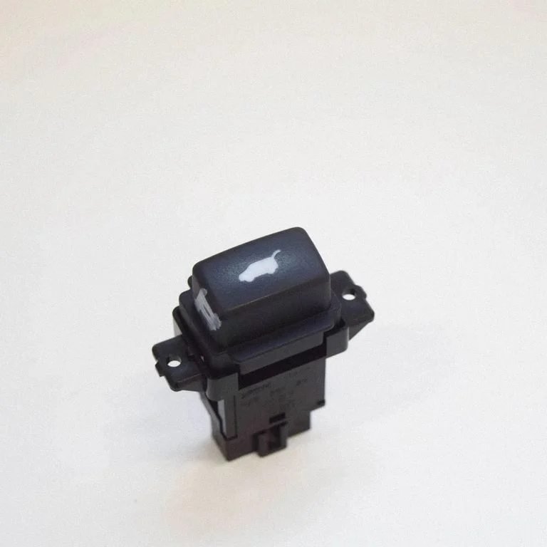 Bagāžnieka vāka aizvēršanas slēdzis M20419