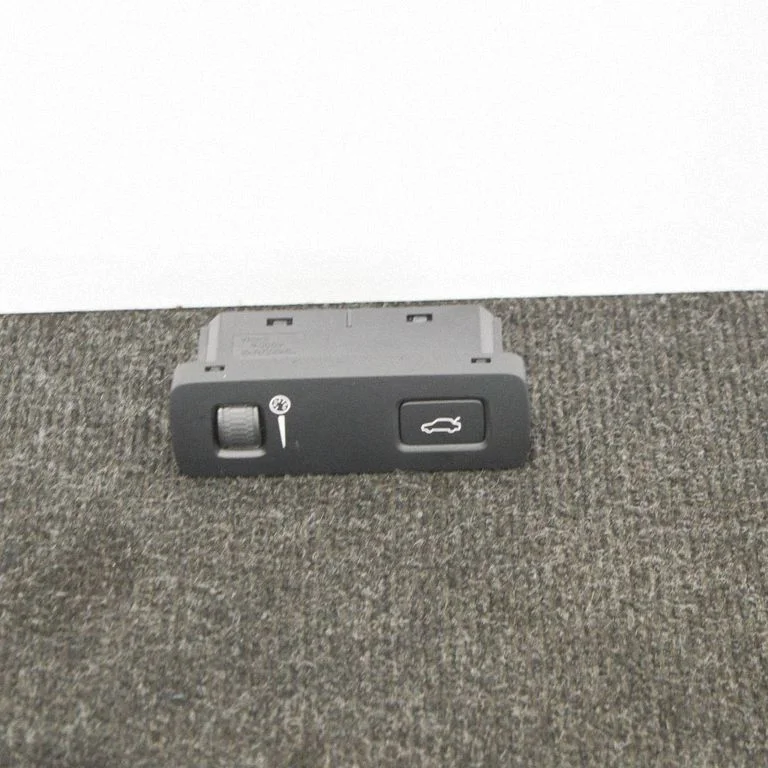 Other switches/knobs/shifts P3137651031376510