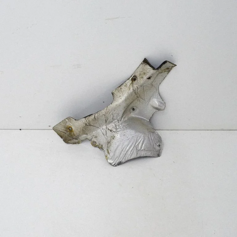 Apakšas aizsargs 670009299